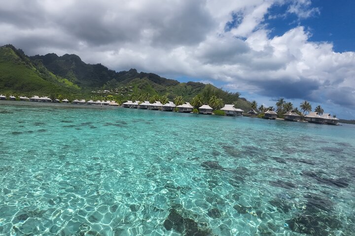 Spännande 3-timmars jetskitur på Moorea, utforska bukter och simma med marint liv, foto 14 | wizardtrip