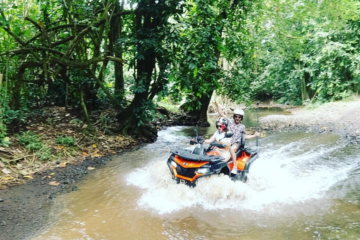 Passeio de ATV em Moorea, explorando campos de ananás, baías e montanhas, foto 10 | wizardtrip