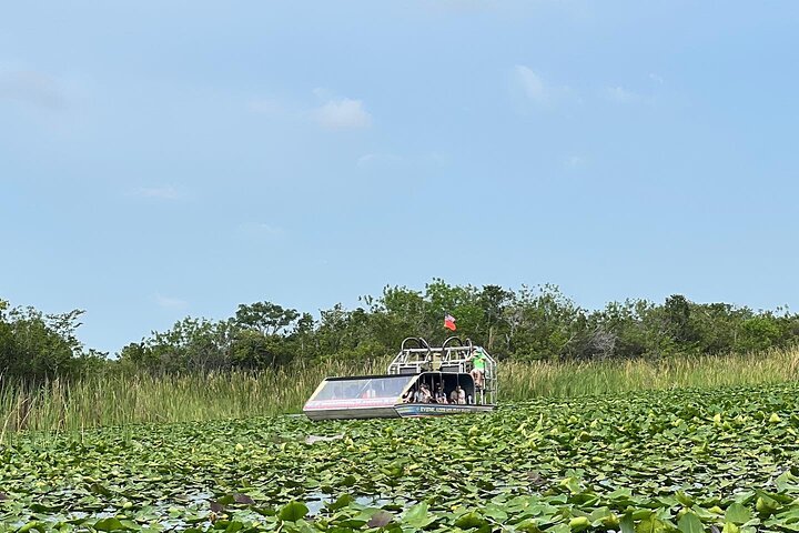 Airboat tour voor kleine groepen in de Everglades vanuit Miami, met wilde dieren en uniek landschap, foto 6 | wizardtrip