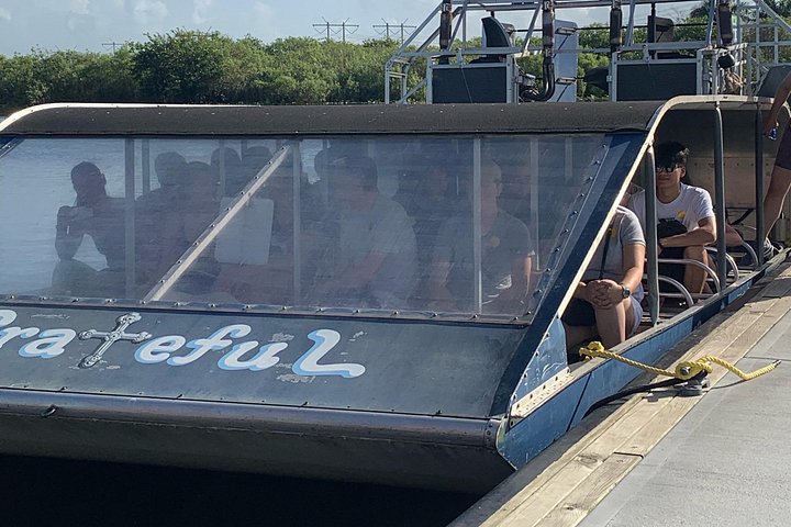 Airboat tour voor kleine groepen in de Everglades vanuit Miami, met wilde dieren en uniek landschap, foto 8 | wizardtrip