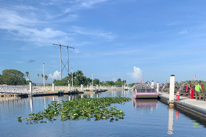 Airboat tour voor kleine groepen in de Everglades vanuit Miami, met wilde dieren en uniek landschap, foto 9 | wizardtrip