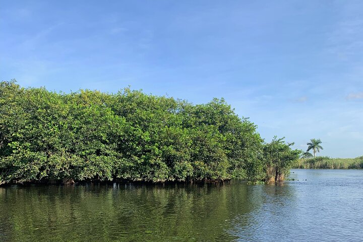 Airboat tour voor kleine groepen in de Everglades vanuit Miami, met wilde dieren en uniek landschap, foto 17 | wizardtrip