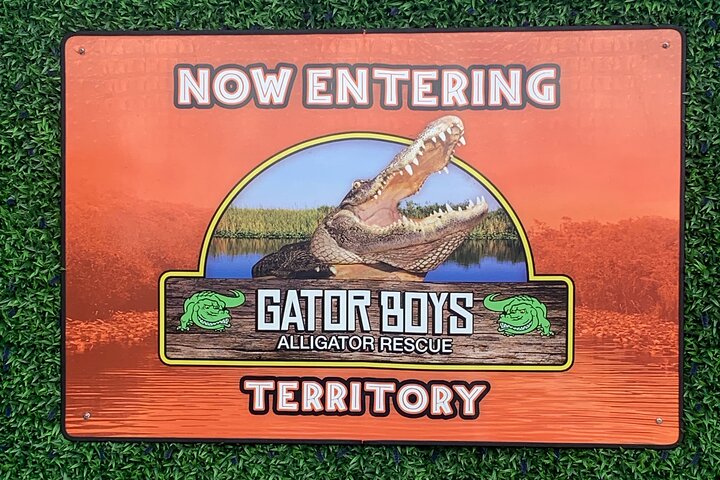 Airboat tour voor kleine groepen in de Everglades vanuit Miami, met wilde dieren en uniek landschap, foto 19 | wizardtrip