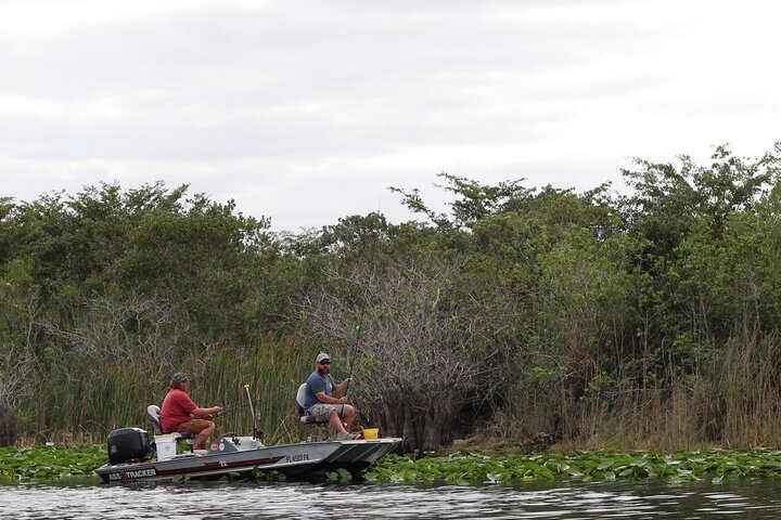Airboat tour voor kleine groepen in de Everglades vanuit Miami, met wilde dieren en uniek landschap, foto 20 | wizardtrip