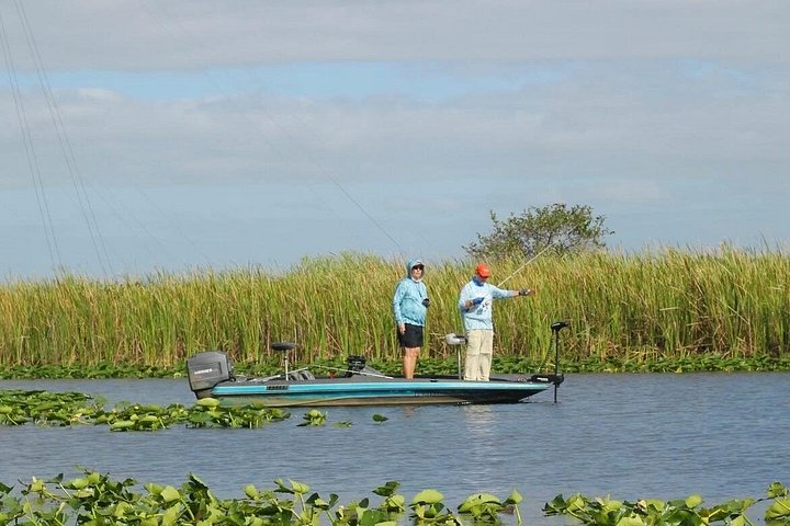 Airboat tour voor kleine groepen in de Everglades vanuit Miami, met wilde dieren en uniek landschap, foto 21 | wizardtrip