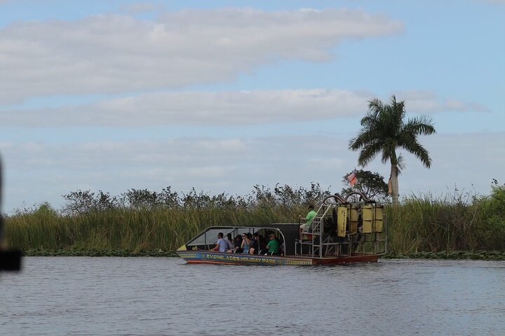 Airboat tour voor kleine groepen in de Everglades vanuit Miami, met wilde dieren en uniek landschap, foto 29 | wizardtrip