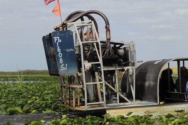 Airboat tour voor kleine groepen in de Everglades vanuit Miami, met wilde dieren en uniek landschap, foto 30 | wizardtrip