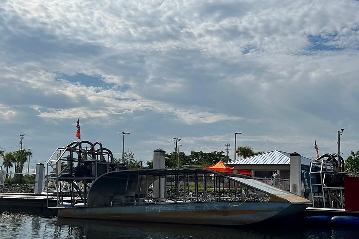 Airboat tour voor kleine groepen in de Everglades vanuit Miami, met wilde dieren en uniek landschap, foto 35 | wizardtrip