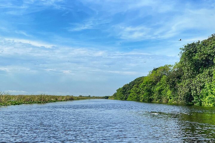 Airboat tour voor kleine groepen in de Everglades vanuit Miami, met wilde dieren en uniek landschap, foto 39 | wizardtrip