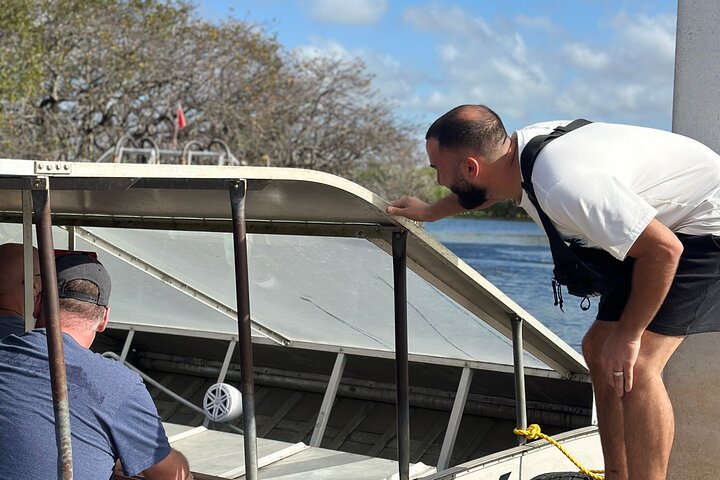 Airboat tour voor kleine groepen in de Everglades vanuit Miami, met wilde dieren en uniek landschap, foto 43 | wizardtrip