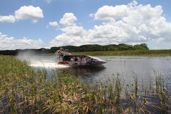 Airboat tour voor kleine groepen in de Everglades vanuit Miami, met wilde dieren en uniek landschap, foto 48 | wizardtrip