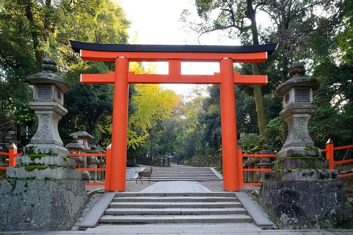 Guidet tur til Naras historiske templer, helligdomme og venlige hjorte, med afgang fra Kyoto eller Osaka, foto 6 | wizardtrip