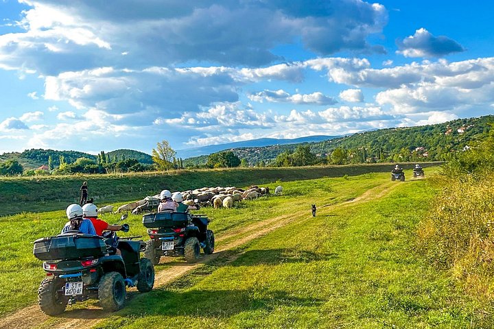 Erleben Sie ein aufregendes ATV Quad Safari Abenteuer durch die malerischen Landschaften von Split, Kroatien, Foto 39 | wizardtrip