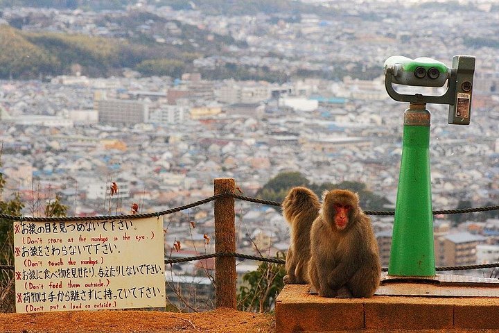 Private guided tour of Kyoto's iconic temples, shrines, and districts, photo 6 | wizardtrip
