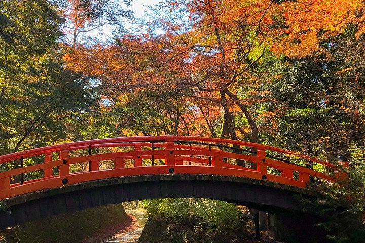 Private guided tour of Kyoto's iconic temples, shrines, and districts, photo 12 | wizardtrip
