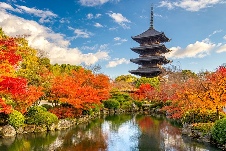 Private guided tour of Kyoto's iconic temples, shrines, and districts, photo 13 | wizardtrip