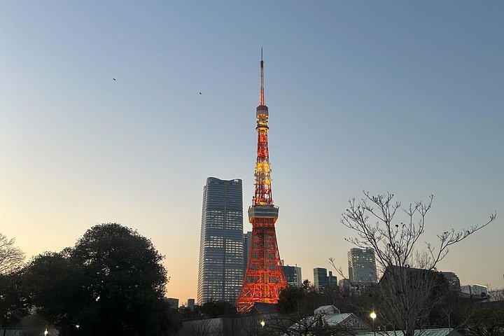 Udforsk Tokyos livlige gader og ikoniske vartegn på en elcykeltur, foto 28 | wizardtrip