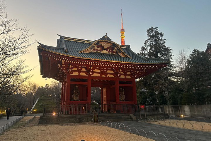 Udforsk Tokyos livlige gader og ikoniske vartegn på en elcykeltur, foto 29 | wizardtrip