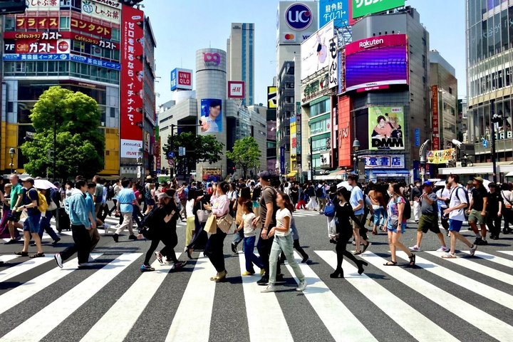 Visite guidée privée des monuments de Tokyo, y compris temples, marchés et attractions modernes, photo 26 | wizardtrip