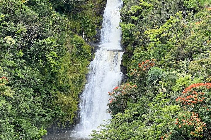 ハワイのビッグアイランドで、滝の上や熱帯雨林を抜ける爽快なジップラインアドベンチャーを体験しましょう、写真14 | wizardtrip