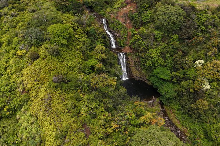 ハワイのビッグアイランドで、滝の上や熱帯雨林を抜ける爽快なジップラインアドベンチャーを体験しましょう、写真23 | wizardtrip