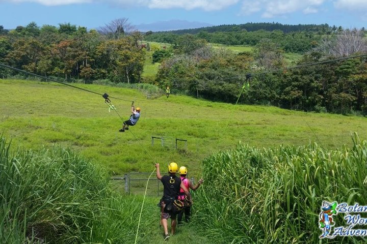 ハワイのビッグアイランドで、滝の上や熱帯雨林を抜ける爽快なジップラインアドベンチャーを体験しましょう、写真26 | wizardtrip