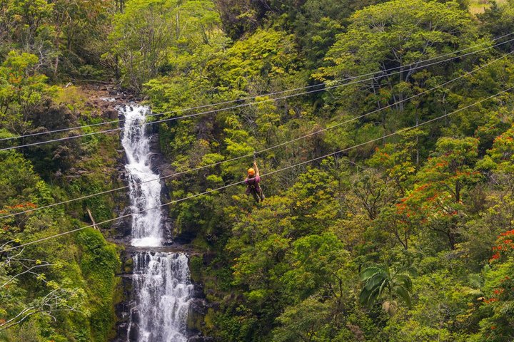 ハワイのビッグアイランドで、滝の上や熱帯雨林を抜ける爽快なジップラインアドベンチャーを体験しましょう、写真35 | wizardtrip