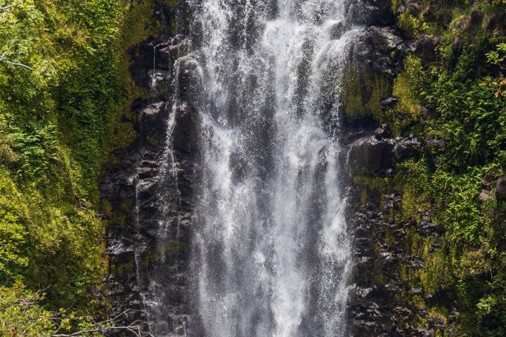 ハワイのビッグアイランドで、滝の上や熱帯雨林を抜ける爽快なジップラインアドベンチャーを体験しましょう、写真37 | wizardtrip