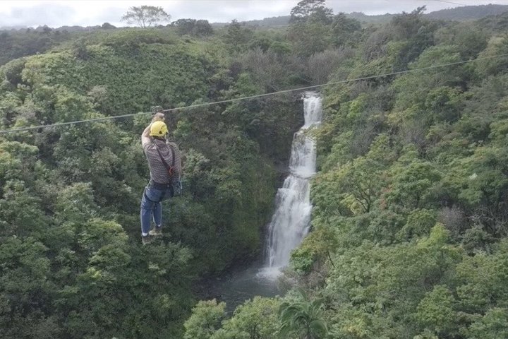 ハワイのビッグアイランドで、滝の上や熱帯雨林を抜ける爽快なジップラインアドベンチャーを体験しましょう、写真48 | wizardtrip