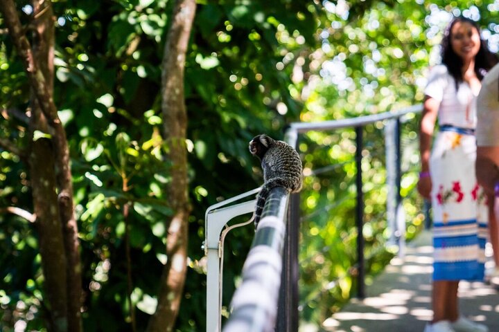 Full day tour of Rio de Janeiro's iconic landmarks including Christ the Redeemer and Sugarloaf, photo 23 | wizardtrip