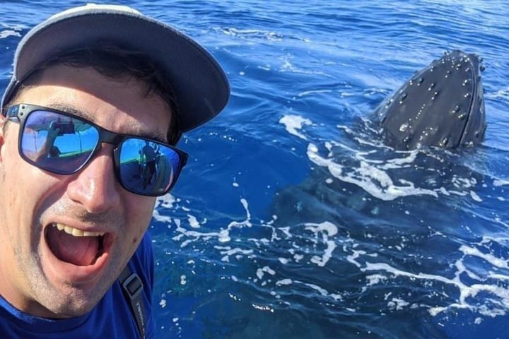 ハワイ、マウイ島でのホエールウォッチング小型ボートツアー。ザトウクジラとの近距離での遭遇、写真13 | wizardtrip