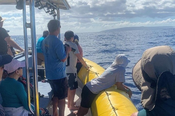 ハワイ、マウイ島でのホエールウォッチング小型ボートツアー。ザトウクジラとの近距離での遭遇、写真15 | wizardtrip