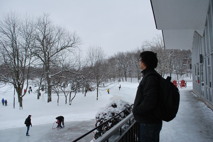 Omfattende heldagstur til Montreals nøkkelattraksjoner, nabolag og markeder, foto 12 | wizardtrip