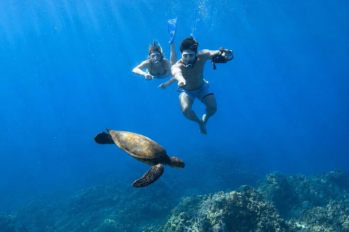 Guidad snorkeltur i Mauis Turtle Town med havssköldpaddor, rev och inkluderade foton och videor, foto 8 | wizardtrip