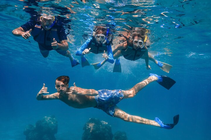 Guidad snorkeltur i Mauis Turtle Town med havssköldpaddor, rev och inkluderade foton och videor, foto 14 | wizardtrip