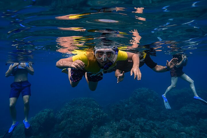Guidad snorkeltur i Mauis Turtle Town med havssköldpaddor, rev och inkluderade foton och videor, foto 15 | wizardtrip