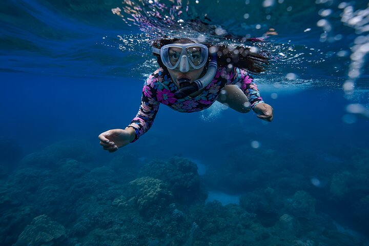 Guidad snorkeltur i Mauis Turtle Town med havssköldpaddor, rev och inkluderade foton och videor, foto 16 | wizardtrip