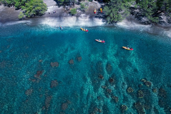 マウイ島のカヤック＆シュノーケルツアー、ウミガメと海岸線の景色、写真8 | wizardtrip