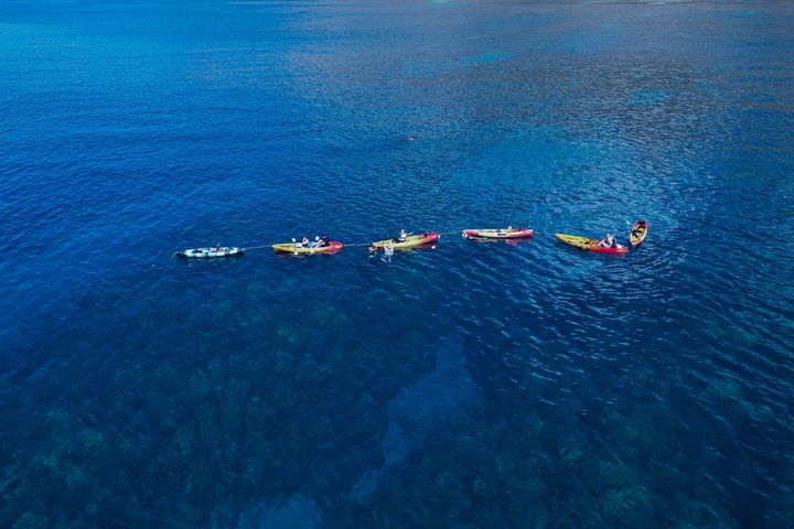 マウイ島のカヤック＆シュノーケルツアー、ウミガメと海岸線の景色、写真12 | wizardtrip