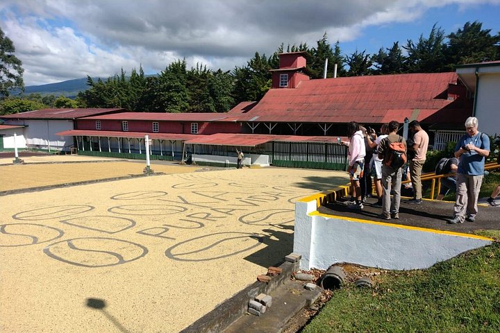 Dagstur fra San José med kaffeplantager, Poás vulkan og La Paz vandfaldshaver, foto 14 | wizardtrip