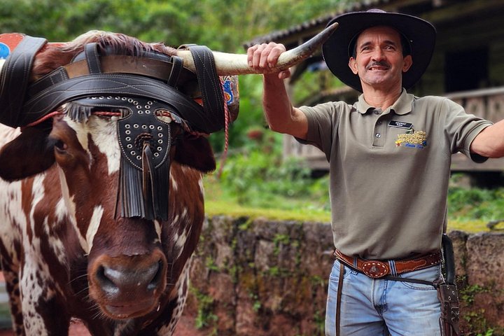 Dagstur fra San José med kaffeplantager, Poás vulkan og La Paz vandfaldshaver, foto 19 | wizardtrip