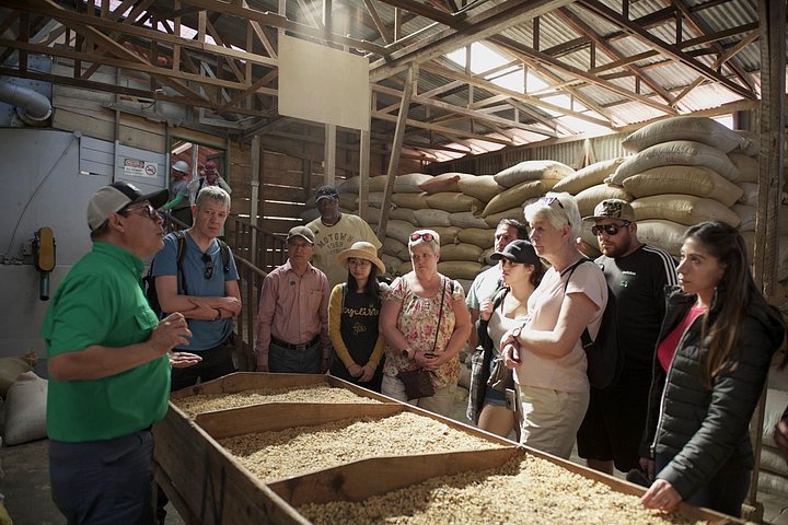 Dagstur fra San José med kaffeplantager, Poás vulkan og La Paz vandfaldshaver, foto 29 | wizardtrip
