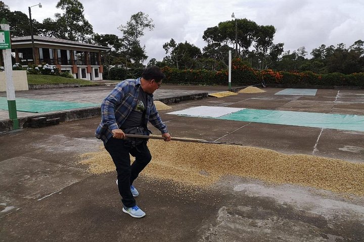 Dagstur fra San José med kaffeplantager, Poás vulkan og La Paz vandfaldshaver, foto 33 | wizardtrip