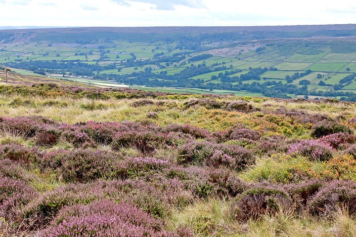 Naturskønne udsigter over North York Moors, Whitby Abbey og North Yorkshire Moors Railway, foto 10 | wizardtrip