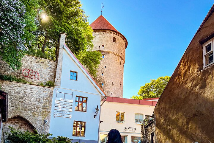 Excursión de un día de Helsinki a Tallin con tour guiado por el casco antiguo medieval y pintoresco viaje en ferry, foto 11 | wizardtrip