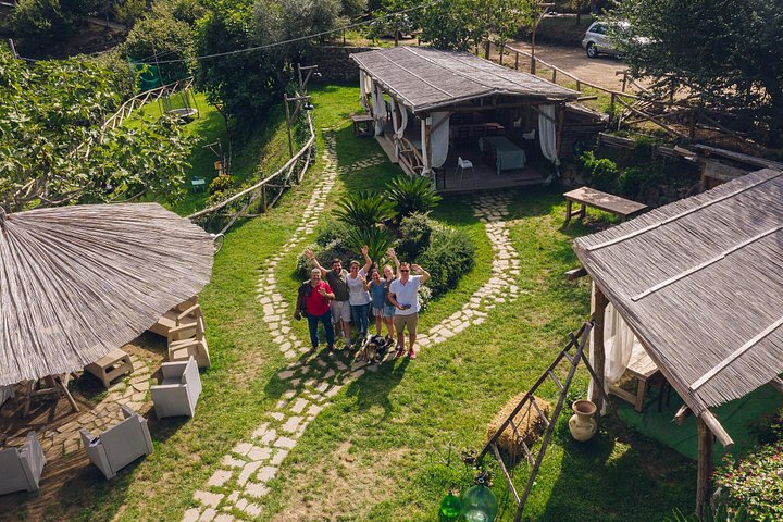 Visita Auténtica a Granja con Degustación de Pizza, Queso, Vino y Limoncello | wizardtrip