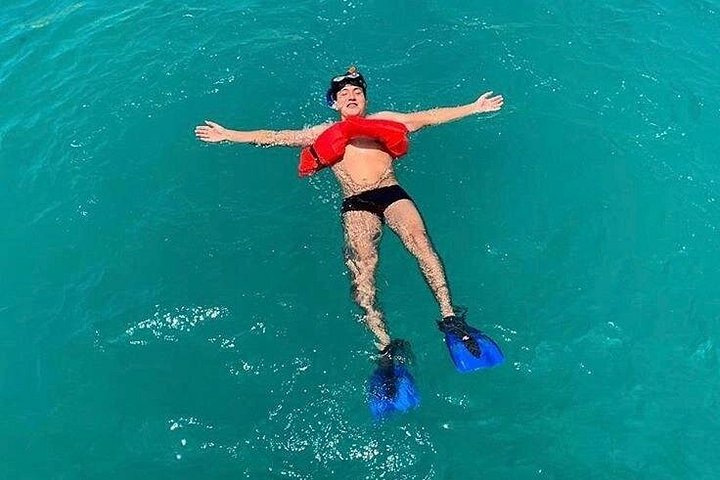 Naturskön båtkryssning i Cabo San Lucas med snorkling och utsikt över bågen, foto 17 | wizardtrip