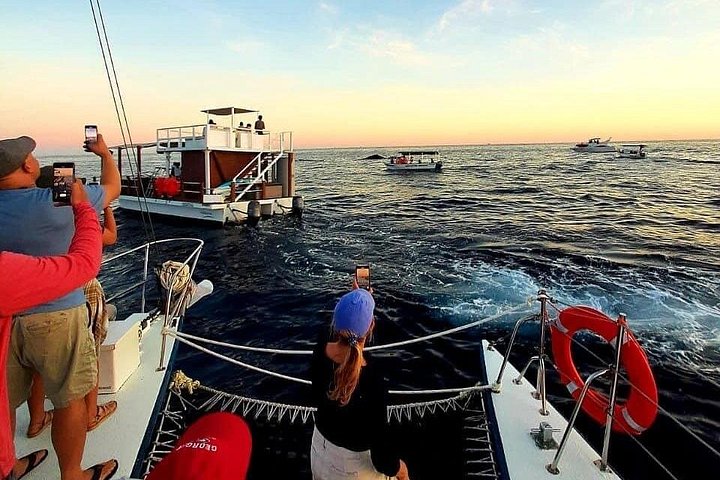 Enjoy a vibrant sunset cruise in Cabo San Lucas with an open bar and scenic views of the Arch, photo 18 | wizardtrip