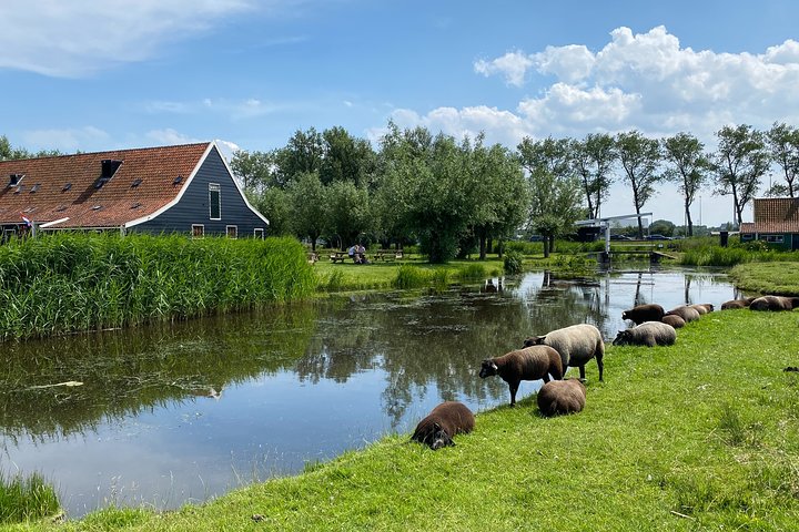 E-bike tour from Amsterdam to Zaanse Schans windmills and Zaandam countryside, photo 12 | wizardtrip