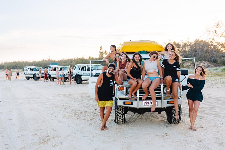 Dingos : Circuit 3 jours en 4x4 sur K'Gari (Fraser Island) | wizardtrip